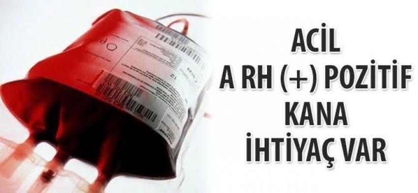 Acil A RH (+) Kan Aranıyor