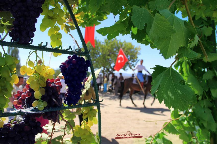 NEVÜ’den Üzümcülük Araştırma ve Uygulama Bağı