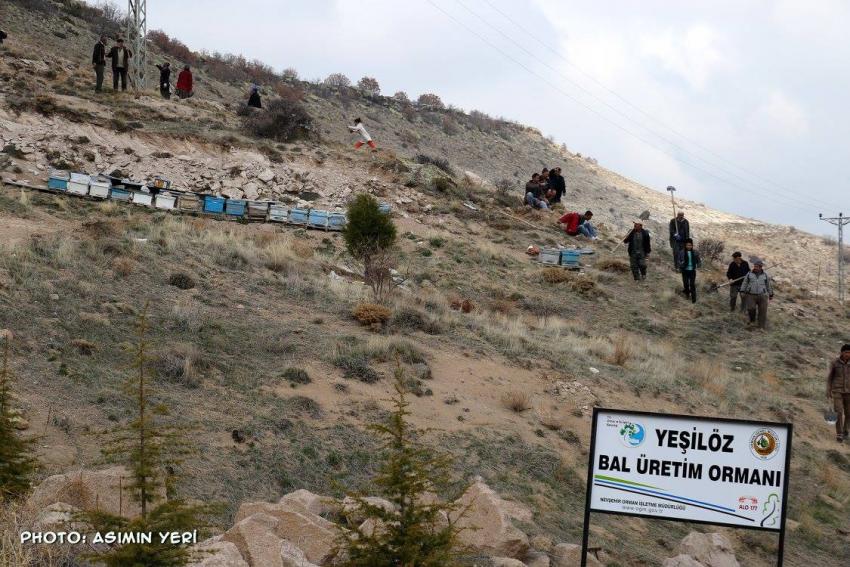 Yeşilöz Köyüne Bal Ormanı Kuruluyor