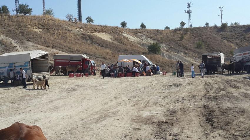 Ürgüp Belediyesi Kurban Satış Alanını Belirledi