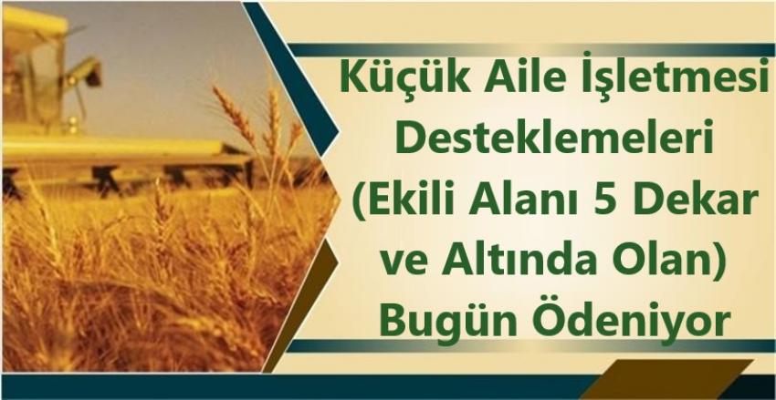 Küçük Aile İşletmesi Ödemeleri Bugün Hesaplara Yatırılıyor