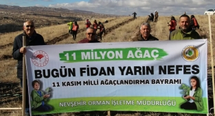 Milli Ağaçlandırma Gününde Fidanlar Toprakla Buluştu