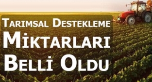 Tarımsal Destekleme Miktarları Belli Oldu