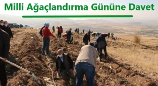 Ürgüp'te Yarın Saat 11.11'i Gösterdiğinde Fidanlar Toprakla Buluşacak