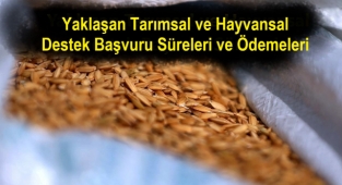 Yaklaşan Tarımsal ve Hayvansal Destek Başvuru Süreleri ve Ödemeleri