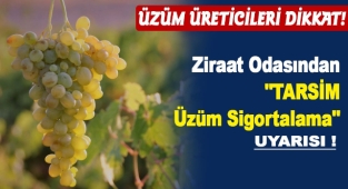 Ürgüp Ziraat Odası'ndan TARSİM Sigorta Son Günleri
