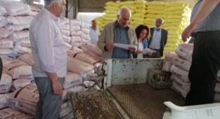 Ürgüp’te yüzde 75 Hibeli Kuru Fasulye Tohumu Dağıtımı Yapıldı