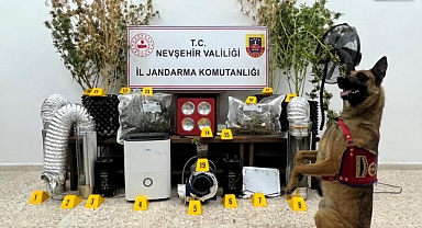 Jandarmadan Uyuşturucu Tacirlerine Operasyon