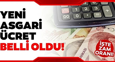 Asgari Ücret Ara Zammı Belirlendi