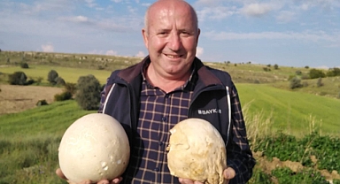 Ürgüp'lü Çiftçi 3 Kg Ağırlığında Dev Mantar Buldu