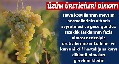 Ürgüp Ziraat Odası; Üzüm üreticilerimiz dikkat!