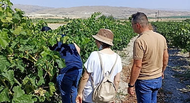 NEVÜZÜM Ürgüp'te Saha Tarama Çalışması Yaptı