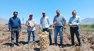 Ürgüp İlçe Tarım ve Ziraat Odası Yazlık Patates Hasadında