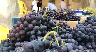 Ürgüp Ziraat Odası, Üzüm üreticimiz heyecanla güzel bir fiyat bekliyor