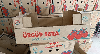 Ürgüp Ziraat Odası ve İlçe Tarım'dan Topraksız Tarım Domates Üretim Tesisine Teknik Ziyaret