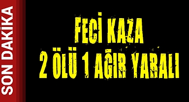 Feci Kaza 2 Ölü 1 Yaralı