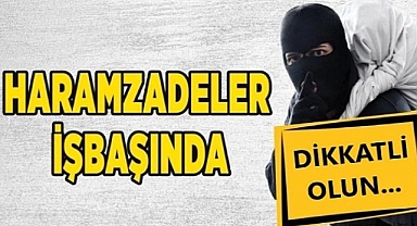 Ürgüp Ziraat Odası Uyardı 'Haramzade hırsızlar yeni dikilen ağaçlara bile göz dikiyor'