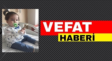 Aras Bebek Yaşam Mücadelesini Kaybetti
