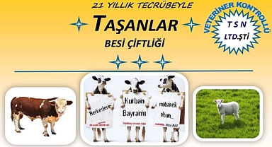 Taşanlar Besicilikte Kurban Satışları Devam Ediyor