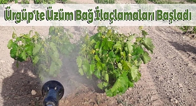 Ürgüp Ziraat Odası; 'Ürgüp'te Üzüm Bağ İlaçlamaları Başladı'