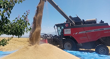Ürgüp Ziraat Odası; Ürgüp ve köylerinde arpa ve buğday hasadı başladı