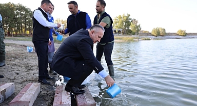 Ürgüp Damsa Barajına 350 Bin Yavru Sazan Balığı Bırakıldı