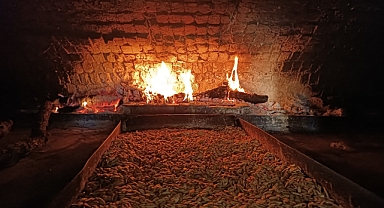 Ürgüp Ziraat Odası; Üreticinin Altını, Pazarın Lideri 'Ürgüp Kabak Çekirdeği' Hasadı Sürüyor