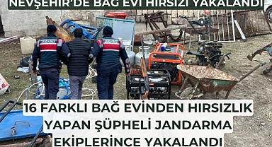 Bağ evi hırsızı yakalandı