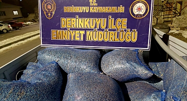Kabak çekirdeği hırsızı yakalandı