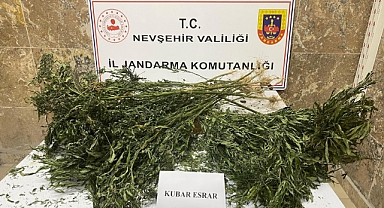 Ürgüp'te yasa dışı ekim yapan şahıs yakalandı