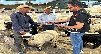 Kurban Pazarlarında Dolandırıcılık, Hırsızlık ve Yankesicilik Olaylarına Dikkat!