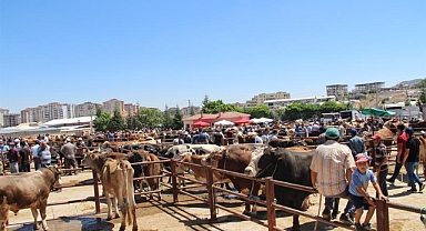 Nevşehir Hayvan Pazarı Geçici Olarak Kapatıldı!