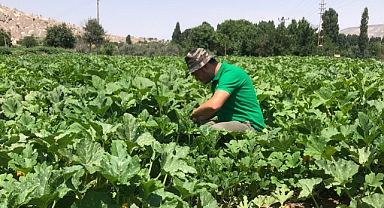 ÜRGÜP ZİRAAT ODASI; ÜYELERİMİZİN DİKKATİNE 31 TEMMUZ SON GÜN