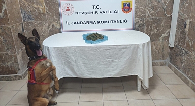 Jandarmadan Ürgüp’te Başarılı Operasyon