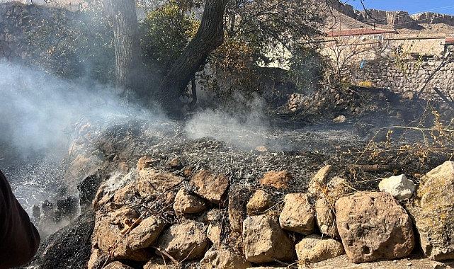 Bahçesindeki Otları Yakan Yaşlı Kadın Hayatını Kaybetti 