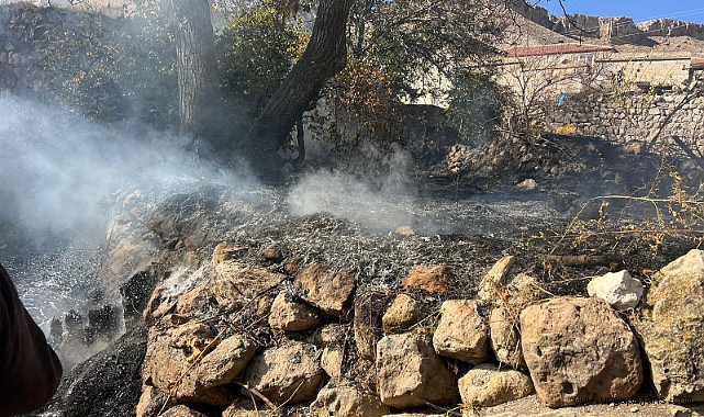 Bahçesindeki Otları Yakan Yaşlı Kadın Hayatını Kaybetti 