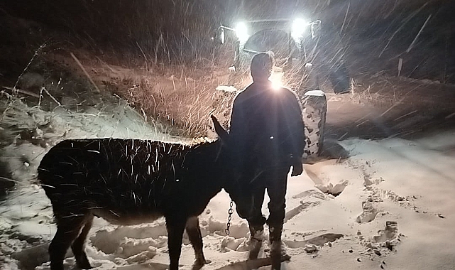 Dün gece bulunan Eşek Demirtaş Köy Muhtarı tarafından çiftliğe alındı