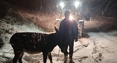 Dün gece bulunan Eşek Demirtaş Köy Muhtarı tarafından çiftliğe alındı