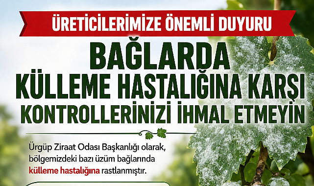 Bağlarda Külleme Hastalığına Karşı Kontrollerinizi İhmal Etmeyin 