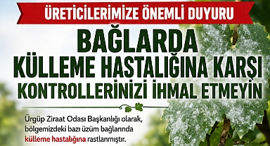 Bağlarda Külleme Hastalığına Karşı Kontrollerinizi İhmal Etmeyin