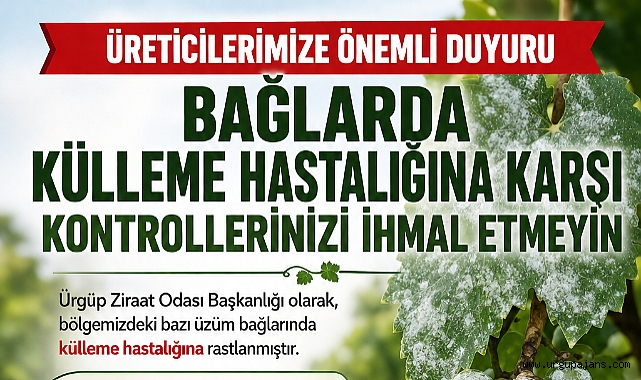 Bağlarda Külleme Hastalığına Karşı Kontrollerinizi İhmal Etmeyin 