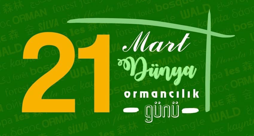 21 Mart Dünya Ormancılık Günü 'Daha yeşil bir Türkiye hedefliyoruz'