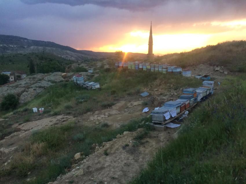 Kapadokya Balına İlgi Artıyor