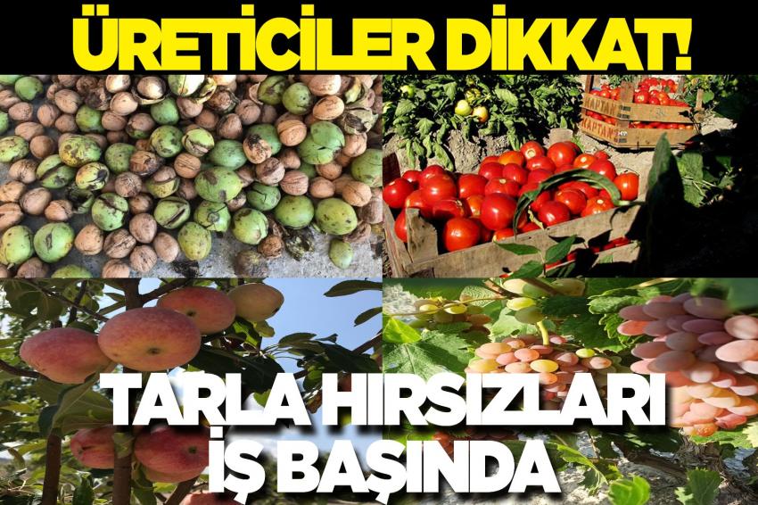 Ürgüp’te haramzade hırsızlar yine iş başında!