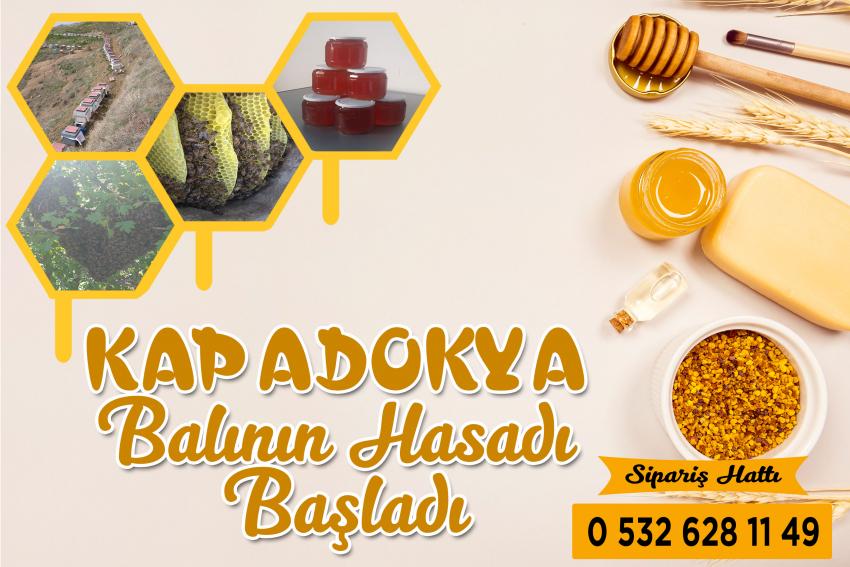 Kapadokya Balının Hasadı Başladı