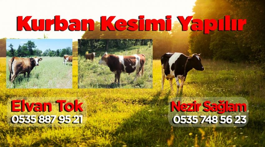 Kurban kesimi yapılır, yerinizi ayırmakta geç kalmayın