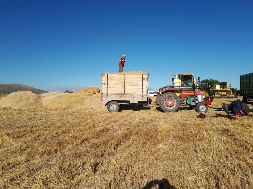 Ürgüp ve Köylerimizde Buğday Hasadı ve Saman Hazırlığı Başladı