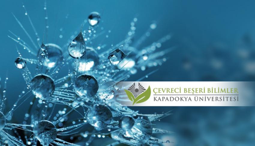 Çevreci Beşeri Bilimler Alanının COVID-19'a Cevabı: Açık Mektup