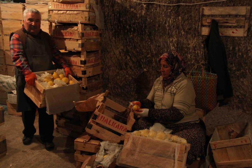 7 Milyon Sandık Limon Neden Buralarda Saklanıyor