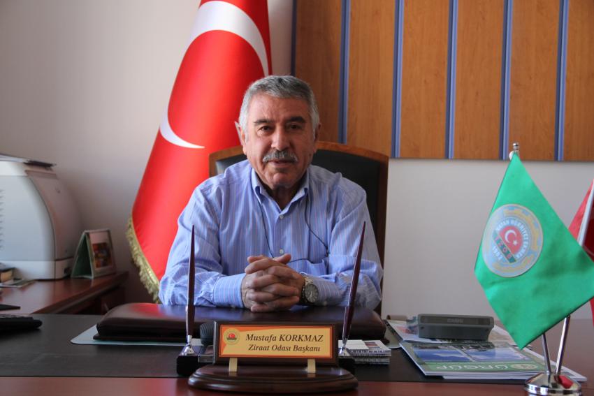 Oda Başkanı Korkmaz '300 koyun' Başvuruları Başladı